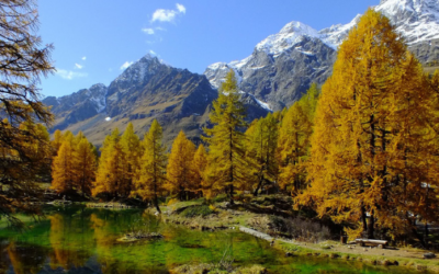 Per una riforma di sistema della Regione Autonoma Valle d’Aosta