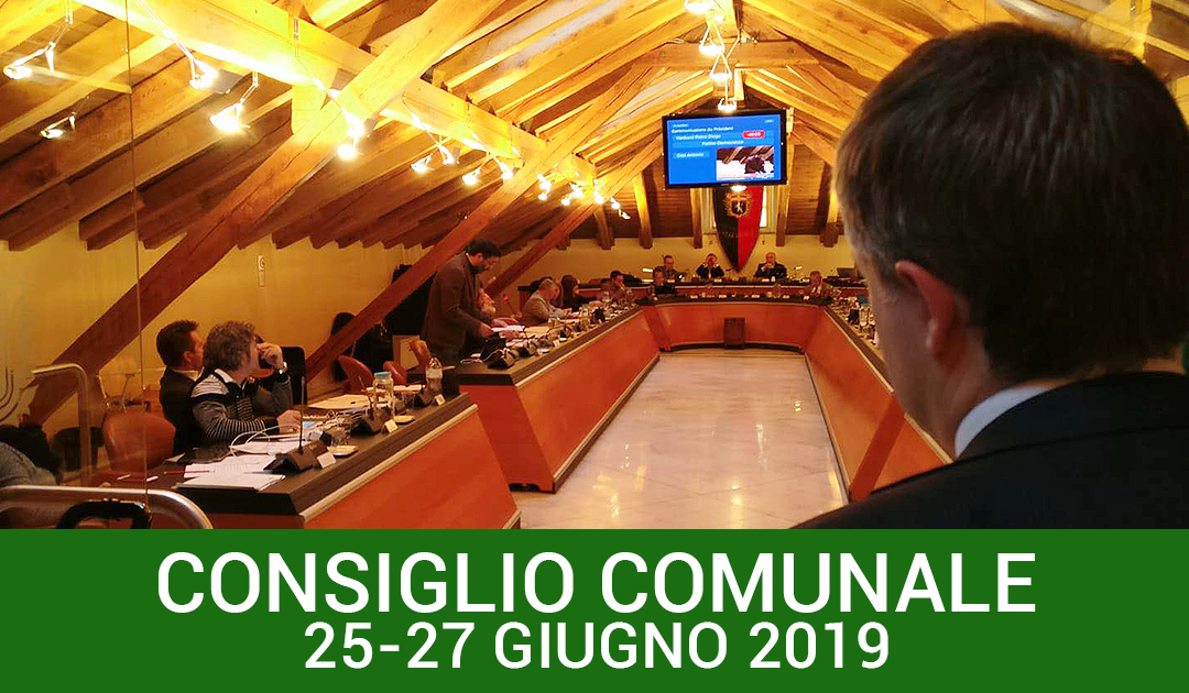 Consiglio comunale 25-27 giugno 2019