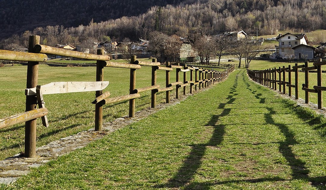 Diventare grandi, guardare al futuro